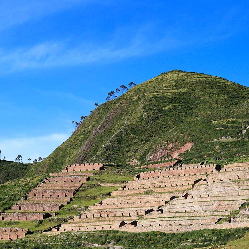 Inca preservation