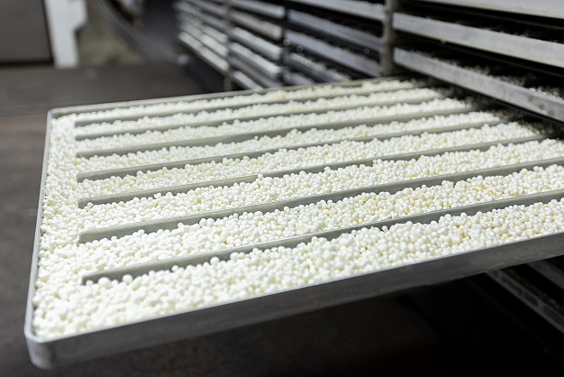 freeze drying lyophilization